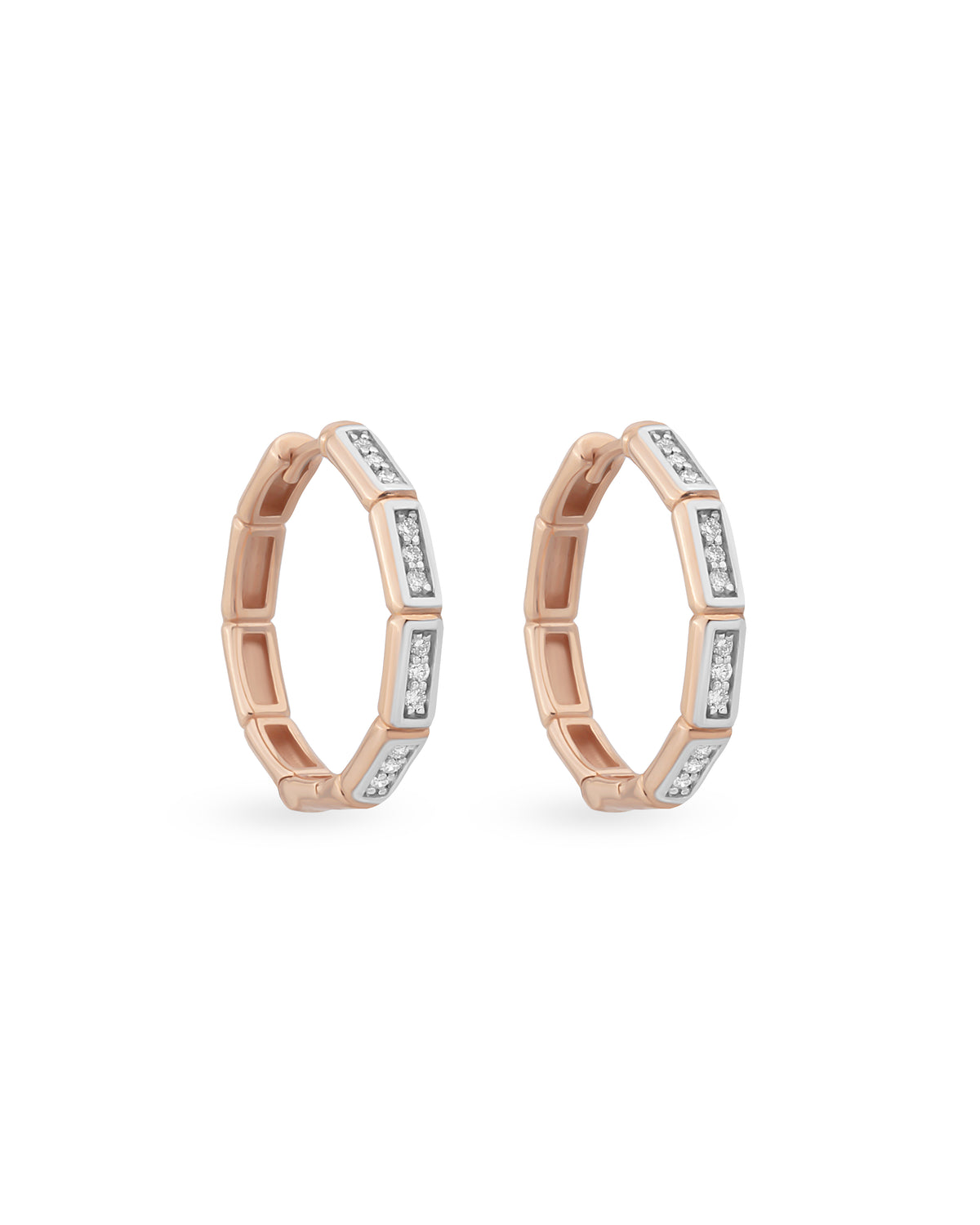 Bamboo Glam Earrings