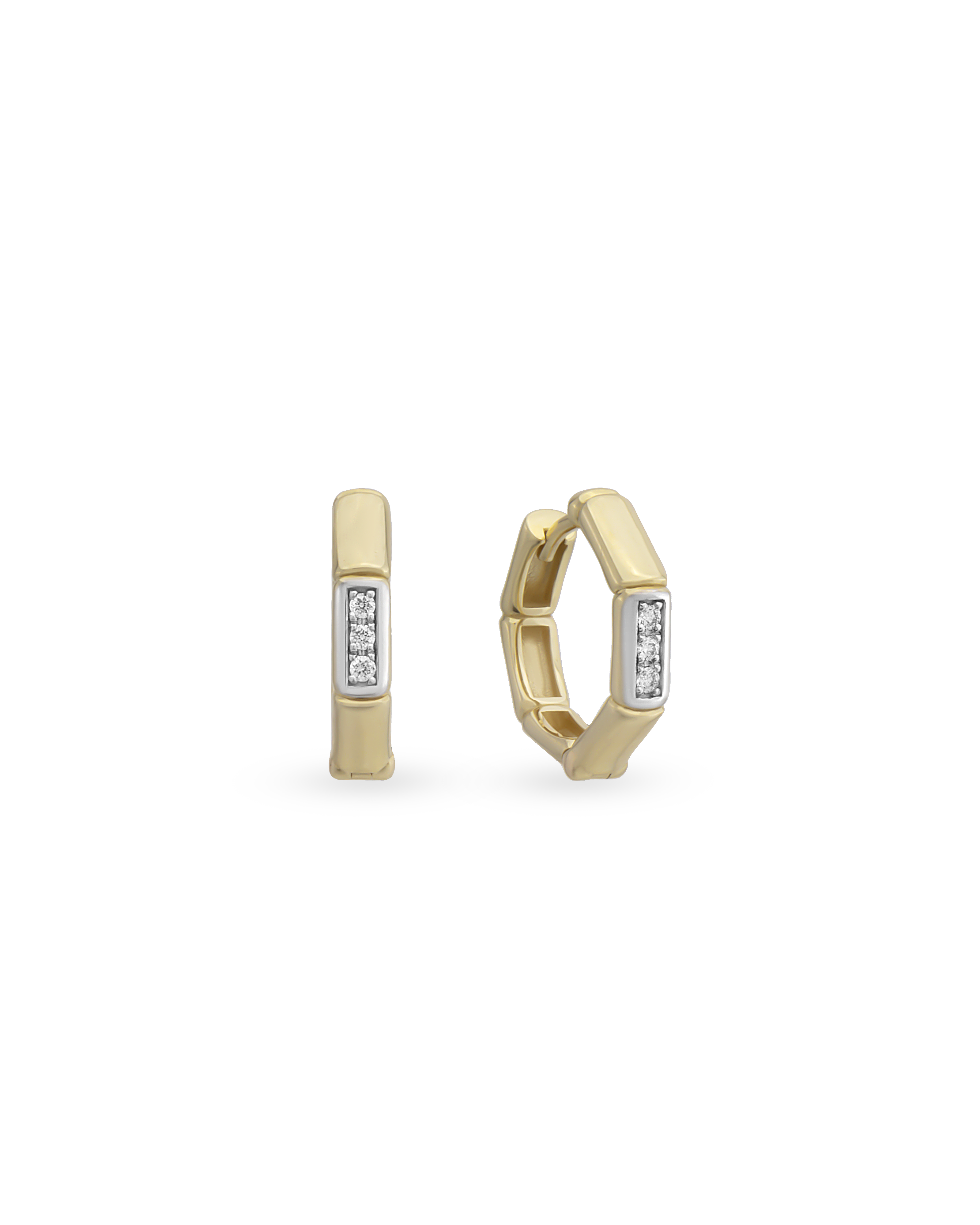 Bamboo Petit Accent Earrings