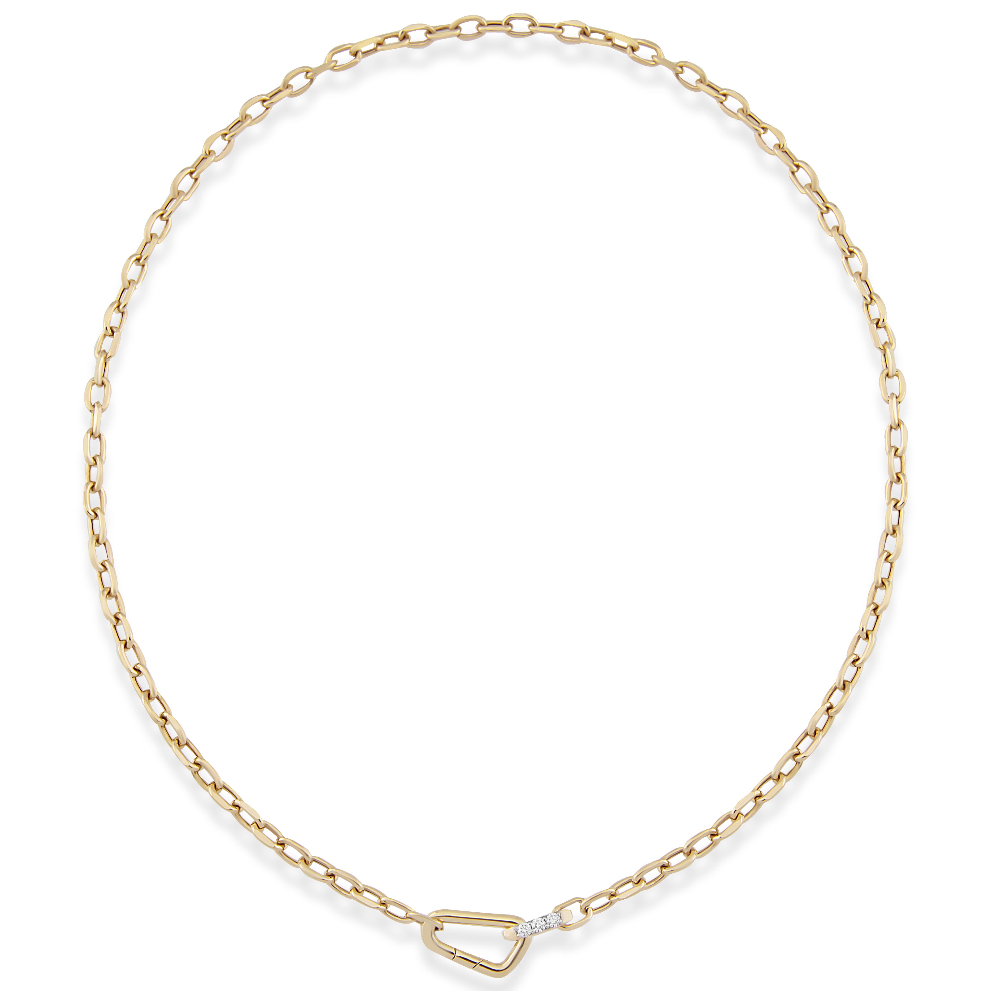Carabiner Petit Chain Necklace
